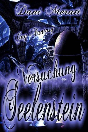 [Seelen Trilogie 01] • Seelenstein · Versuchung · Gay Fantasy